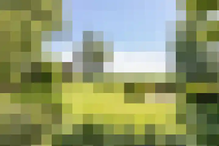 De Wymerts 1 Molkwerum thumbnail 51