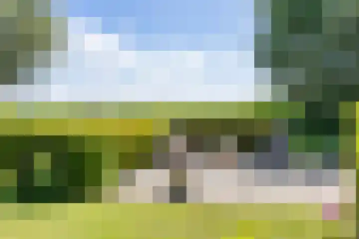 De Wymerts 1 Molkwerum thumbnail 52