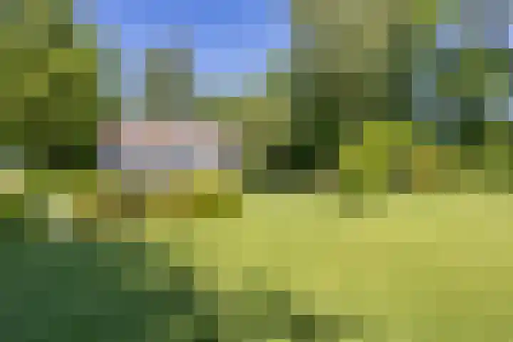 De Wymerts 1 Molkwerum thumbnail 54