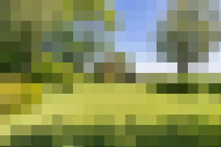 De Wymerts 1 Molkwerum thumbnail 55