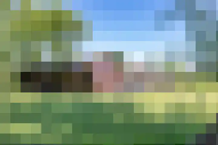 De Wymerts 1 Molkwerum thumbnail 58