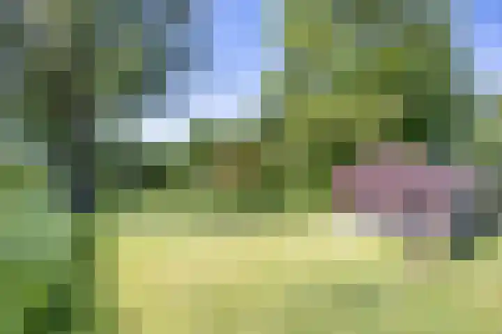 De Wymerts 1 Molkwerum thumbnail 62