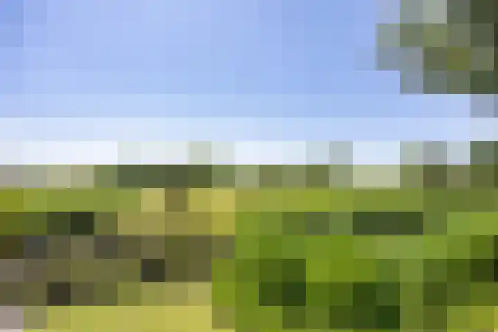 De Wymerts 1 Molkwerum thumbnail 63