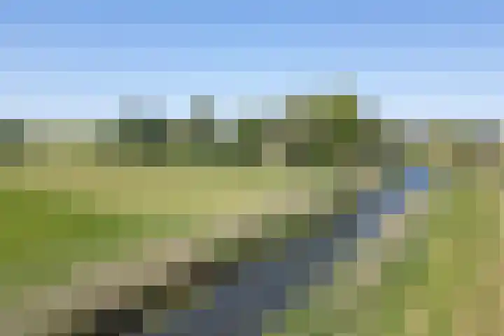 De Wymerts 1 Molkwerum thumbnail 66