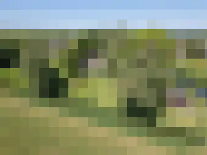 De Wymerts 1 Molkwerum thumbnail 73