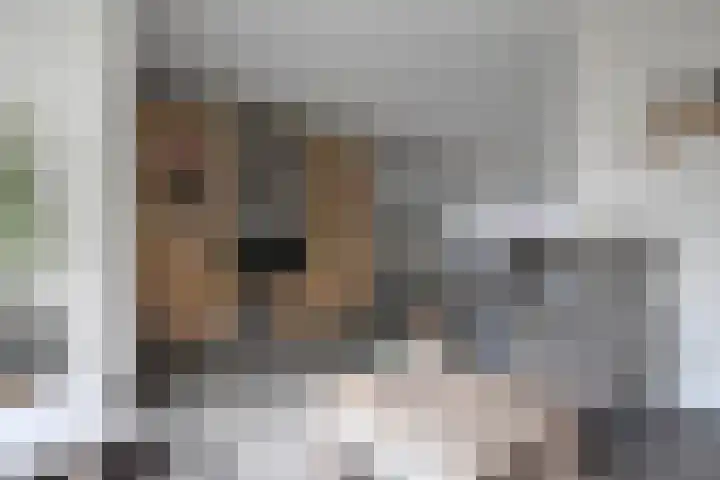 De Yp 10 Burgum thumbnail 22