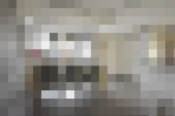 De Yp 10 Burgum thumbnail 26