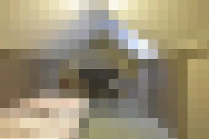 De Yp 10 Burgum thumbnail 50