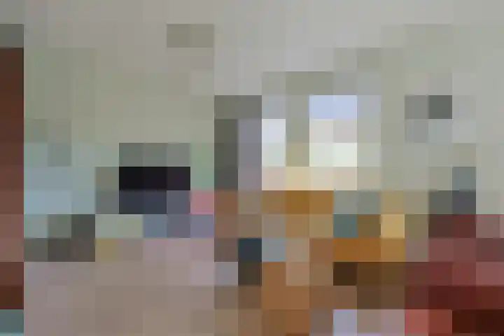 De Zaalberg 11 Leiderdorp thumbnail 12