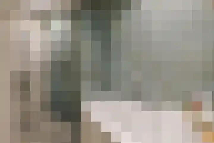 De Zaalberg 11 Leiderdorp thumbnail 27