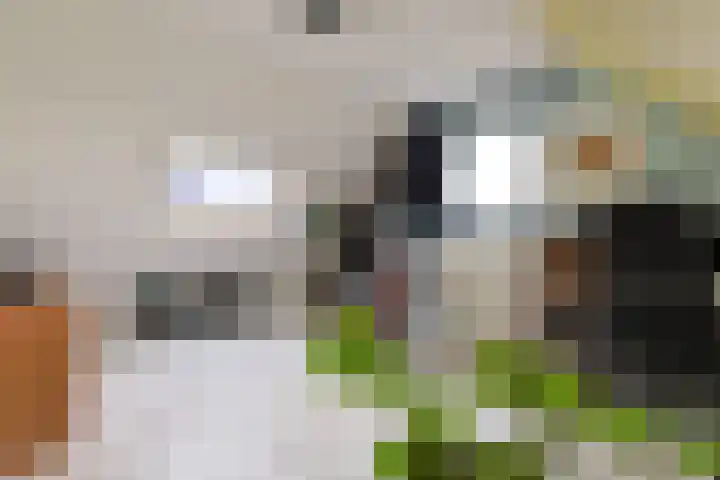 De Zaalberg 11 Leiderdorp thumbnail 33