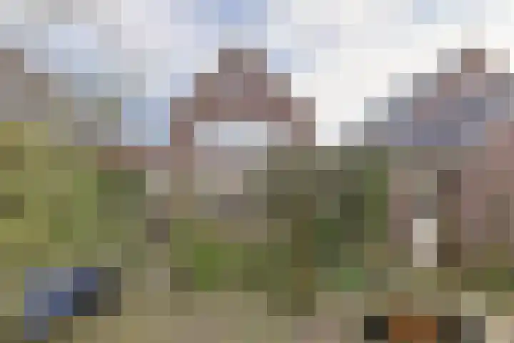 De Zaalberg 11 Leiderdorp thumbnail 34