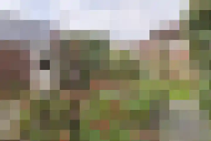 De Zaalberg 11 Leiderdorp thumbnail 37