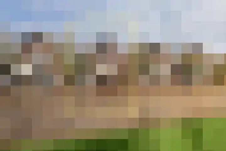 De Zaalberg 11 Leiderdorp thumbnail 48