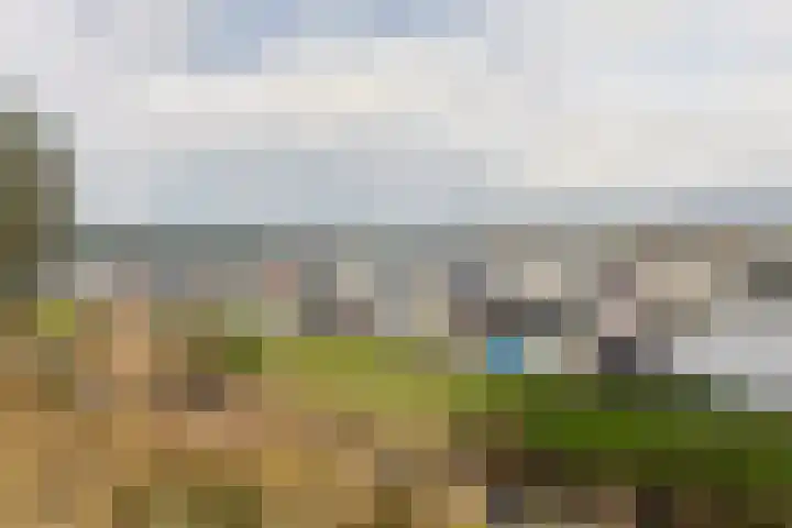 De Zaalberg 11 Leiderdorp thumbnail 53