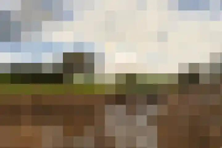 De Zaalberg 11 Leiderdorp thumbnail 55
