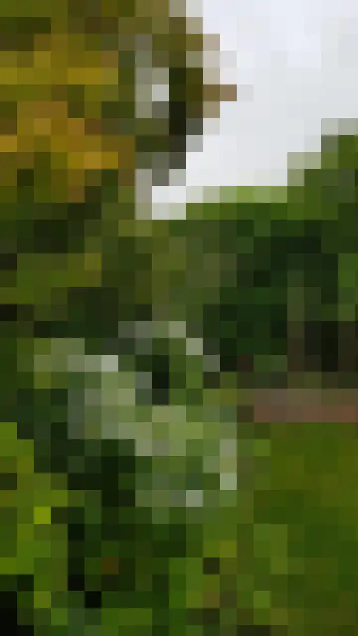 De Zaalberg 11 Leiderdorp thumbnail 59