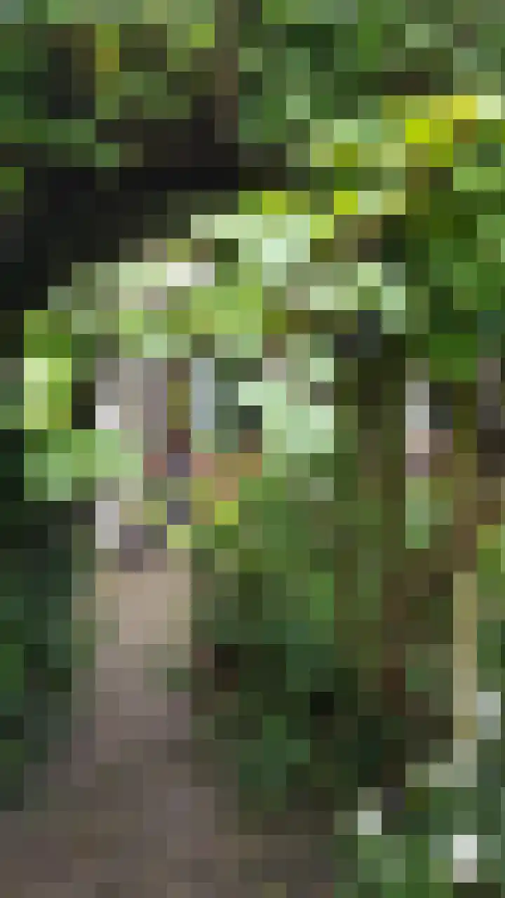 De Zaalberg 11 Leiderdorp thumbnail 60