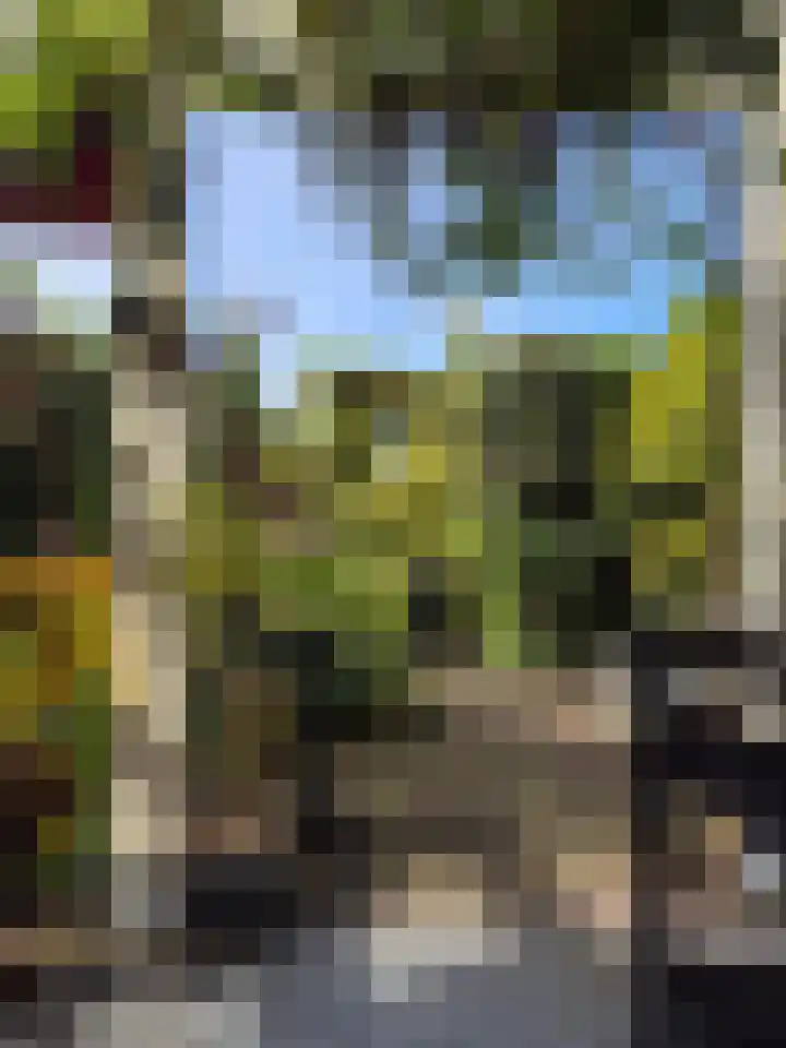 De Zaalberg 11 Leiderdorp thumbnail 62