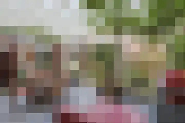 De Zaalberg 11 Leiderdorp thumbnail 7