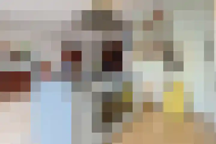 De Zaalberg 11 Leiderdorp thumbnail 9