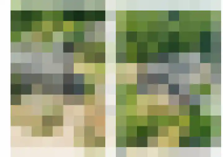 De Zaar 4 Venlo thumbnail 4