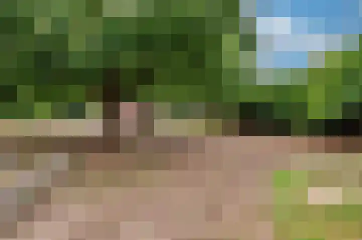 De Zaar 4 Venlo thumbnail 69