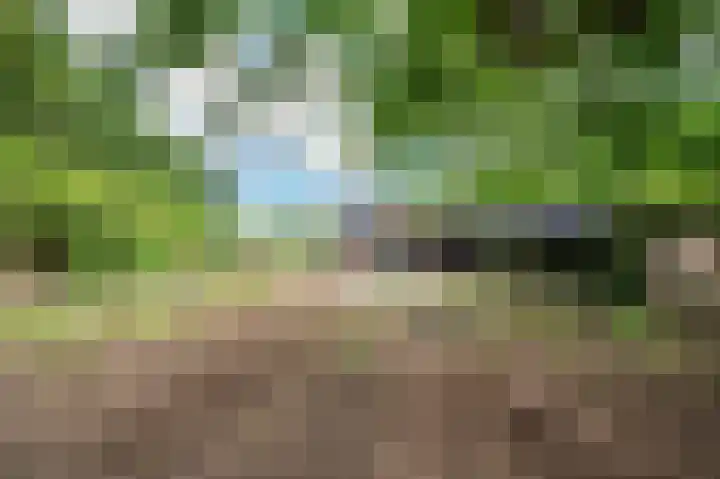 De Zaar 4 Venlo thumbnail 74