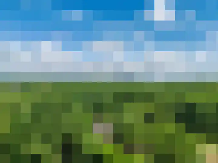 De Zaar 4 Venlo thumbnail 75