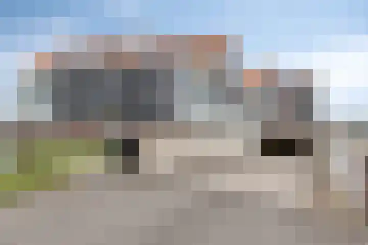De Zaete 12 Yerseke thumbnail 31