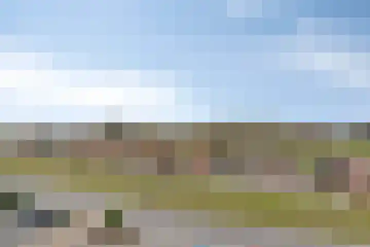 De Zaete 12 Yerseke thumbnail 36