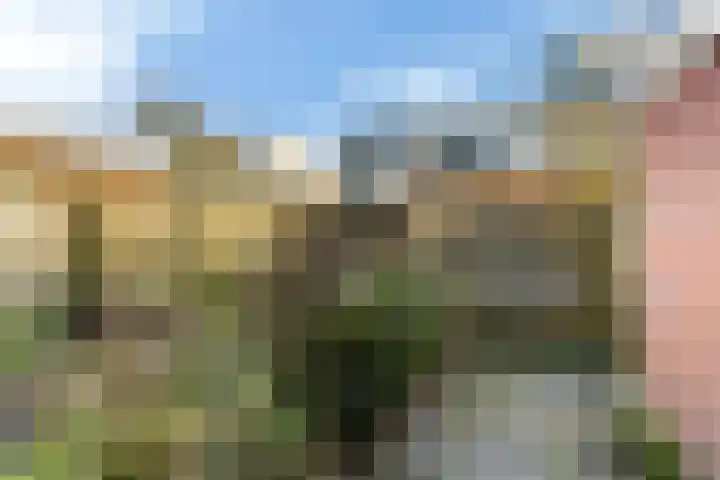 De Zalm 5 Makkum thumbnail 16