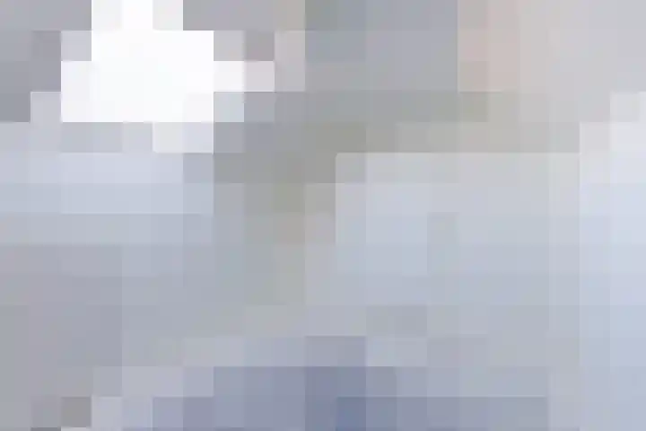 De Zalm 5 Makkum thumbnail 31