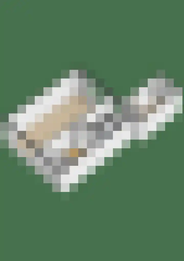 De Zalm 5 Makkum thumbnail 33