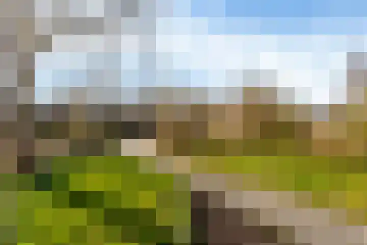 De Zalm 5 Makkum thumbnail 4