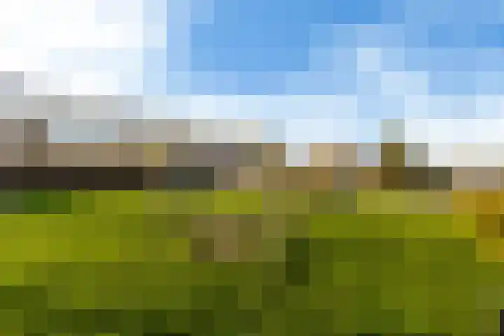 De Zalm 5 Makkum thumbnail 5
