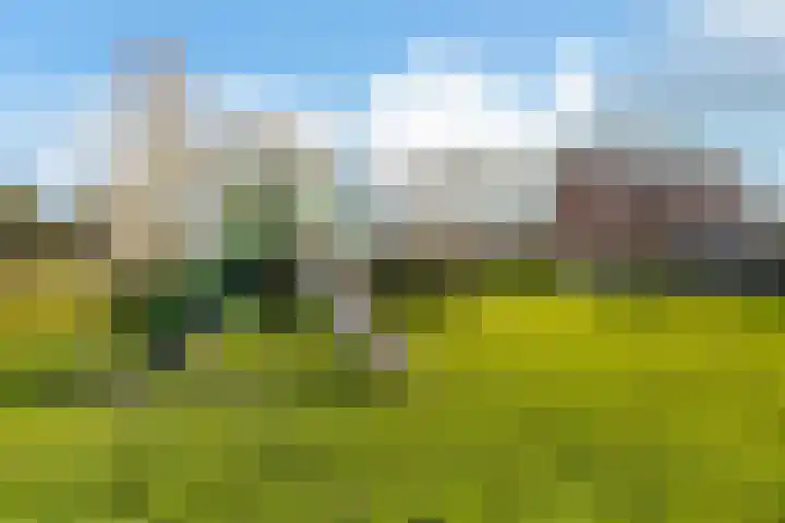 De Zalm 5 Makkum thumbnail 6