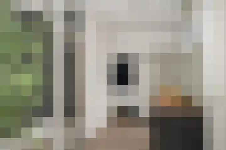 De Zalmen 118 Doorwerth thumbnail 12