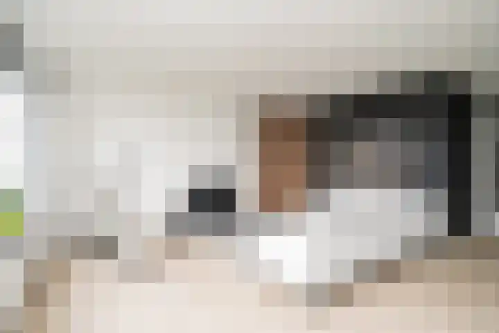 De Zalmen 118 Doorwerth thumbnail 15