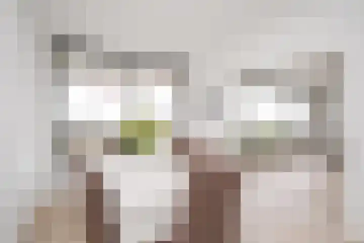 De Zalmen 118 Doorwerth thumbnail 21