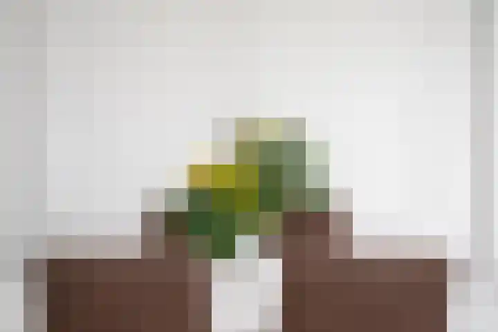 De Zalmen 118 Doorwerth thumbnail 22