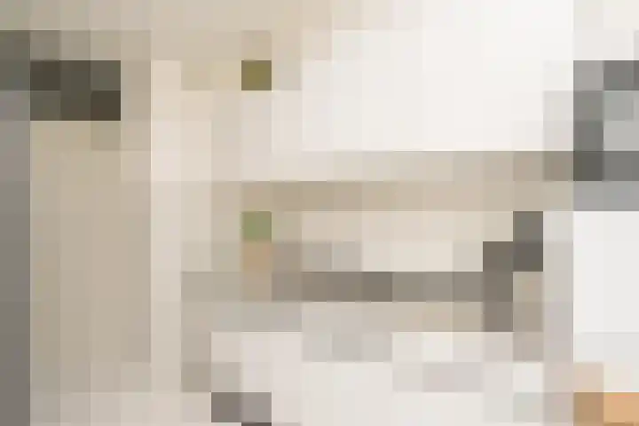 De Zalmen 118 Doorwerth thumbnail 24