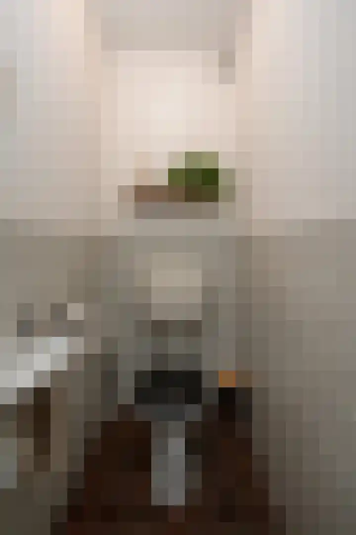 De Zalmen 118 Doorwerth thumbnail 31