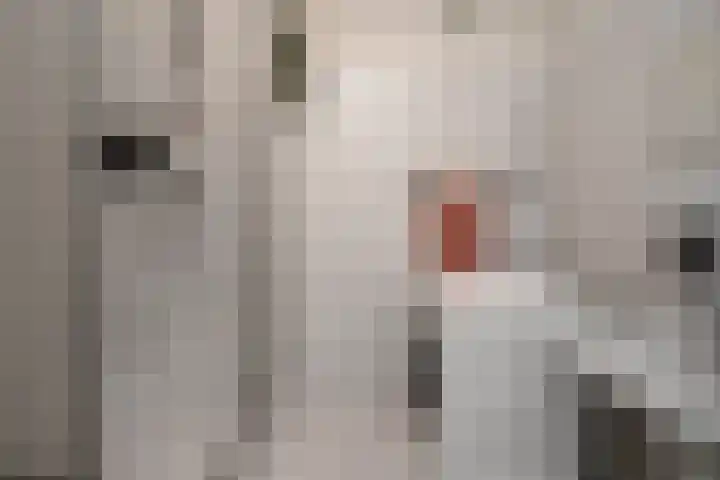 De Zalmen 118 Doorwerth thumbnail 5
