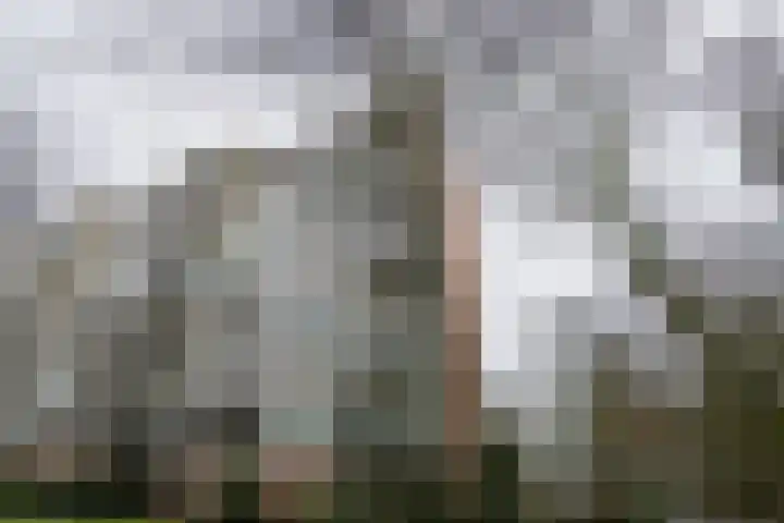 De Zalmen 118 Doorwerth thumbnail 8