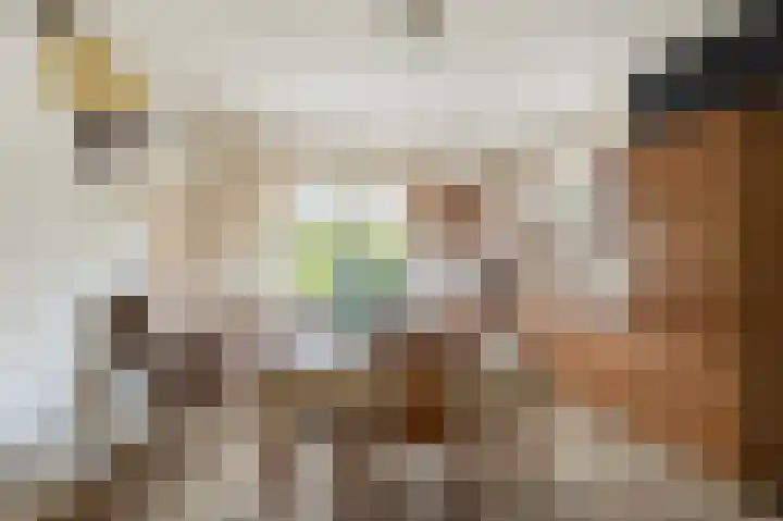 de Zande 4 Kamperveen thumbnail 12