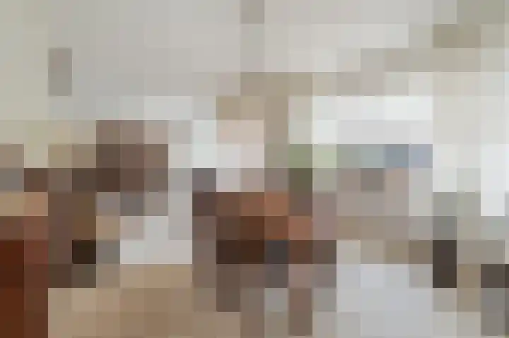 de Zande 4 Kamperveen thumbnail 18
