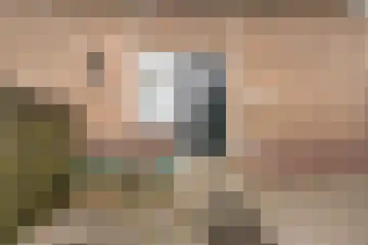 de Zande 4 Kamperveen thumbnail 23