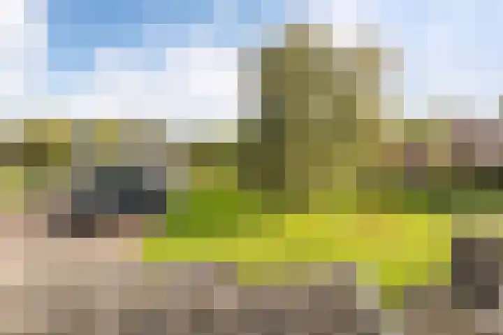 de Zande 4 Kamperveen foto 3