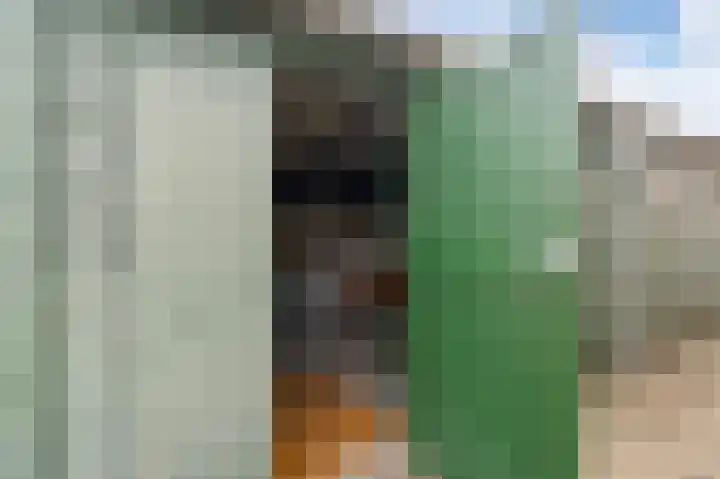 de Zande 4 Kamperveen thumbnail 30